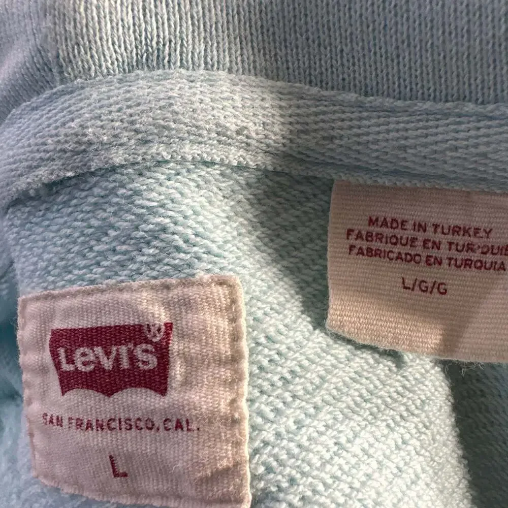 Levi's Men's Relaxed Fit Graphic Hoodie Sweatshirt in Mint Green - Picture 6 of 9